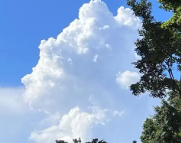 无为天气预报,无为7天天气预报,无为15天天气预报,无为天气查询